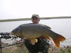 hobaia 2009